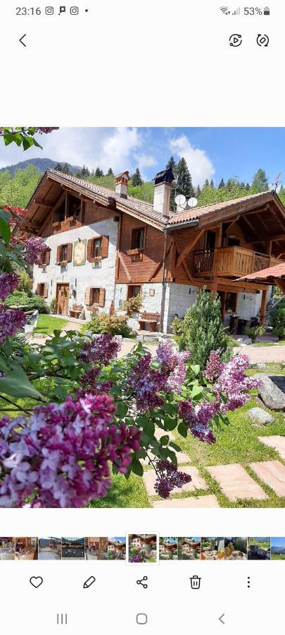Maso Pin Bed and Breakfast Madonna Exteriör bild
