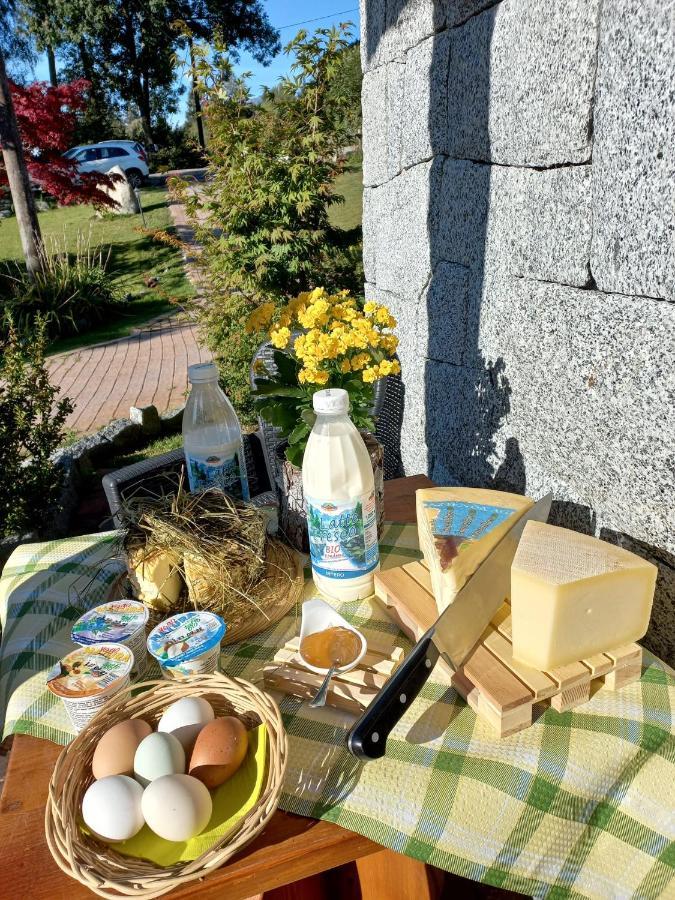Maso Pin Bed and Breakfast Madonna Exteriör bild