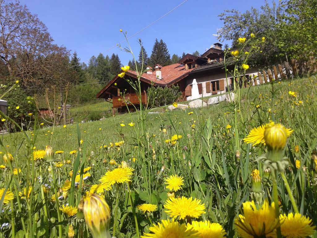 Maso Pin Bed and Breakfast Madonna Exteriör bild