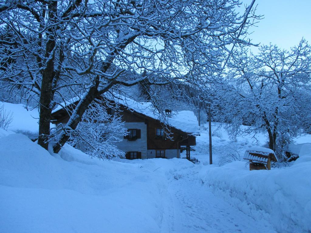 Maso Pin Bed and Breakfast Madonna Exteriör bild